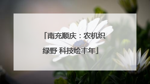 南充顺庆：农机织绿野 科技绘丰年