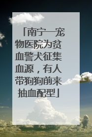 南宁一宠物医院为贫血警犬征集血源，有人带狗狗前来抽血配型