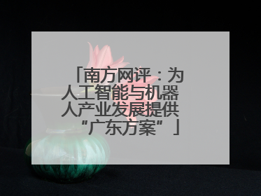 南方网评：为人工智能与机器人产业发展提供“广东方案”