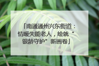 南通通州兴东街道：情暖失能老人，绘就“银龄守护”新画卷