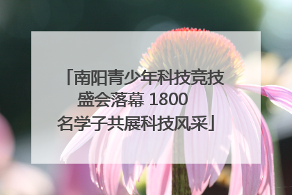 南阳青少年科技竞技盛会落幕 1800 名学子共展科技风采