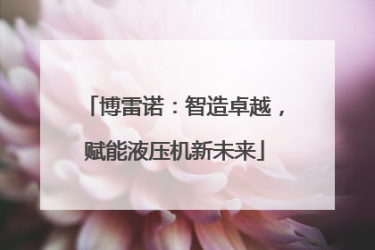 博雷诺：智造卓越，赋能液压机新未来