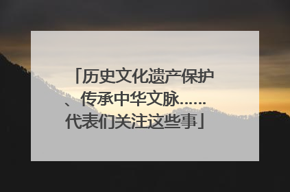 历史文化遗产保护、传承中华文脉……代表们关注这些事