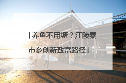 养鱼不用塘？江陵秦市乡创新致富路径