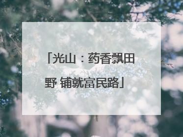 光山：药香飘田野 铺就富民路