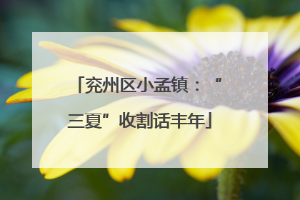 兖州区小孟镇：“三夏”收割话丰年