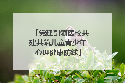 党建引领医校共建共筑儿童青少年心理健康防线