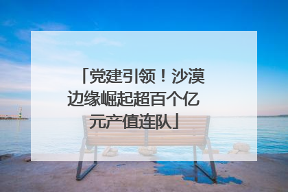 党建引领！沙漠边缘崛起超百个亿元产值连队