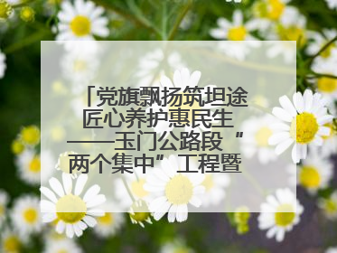 党旗飘扬筑坦途 匠心养护惠民生——玉门公路段“两个集中”工程暨示范桥创建项目圆满收官