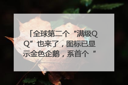 全球第二个“满级QQ”也来了，图标已显示金色企鹅，系首个“满级QQ”的小号