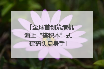 全球首创筑港机海上“搭积木”式建码头显身手