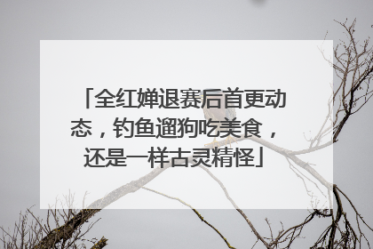 全红婵退赛后首更动态，钓鱼遛狗吃美食，还是一样古灵精怪