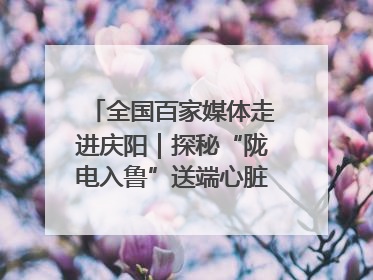 全国百家媒体走进庆阳｜探秘“陇电入鲁”送端心脏 庆阳驭风沐光点亮齐鲁万家