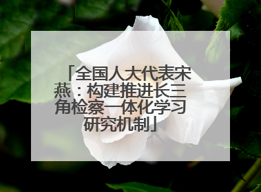 全国人大代表宋燕：构建推进长三角检察一体化学习研究机制