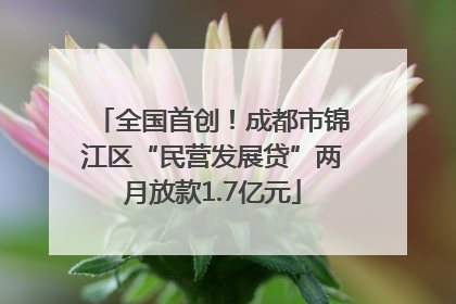 全国首创！成都市锦江区“民营发展贷”两月放款1.7亿元