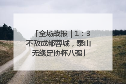 全场战报｜1：3不敌成都蓉城，泰山无缘足协杯八强