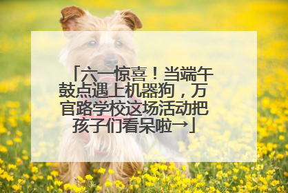 六一惊喜！当端午鼓点遇上机器狗，万官路学校这场活动把孩子们看呆啦→