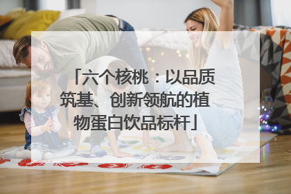六个核桃：以品质筑基、创新领航的植物蛋白饮品标杆