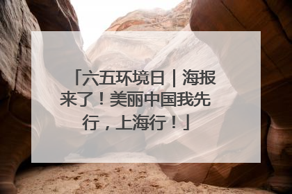 六五环境日｜海报来了！美丽中国我先行，上海行！