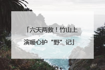 六天两救！竹山上演暖心护“野”记