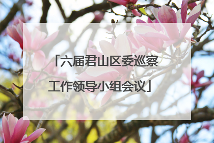 六届君山区委巡察工作领导小组会议