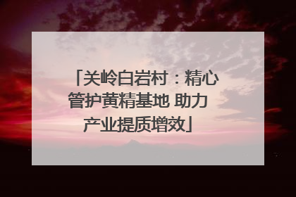 关岭白岩村：精心管护黄精基地 助力产业提质增效