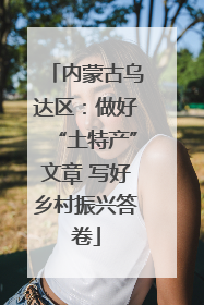 内蒙古乌达区：做好“土特产”文章 写好乡村振兴答卷