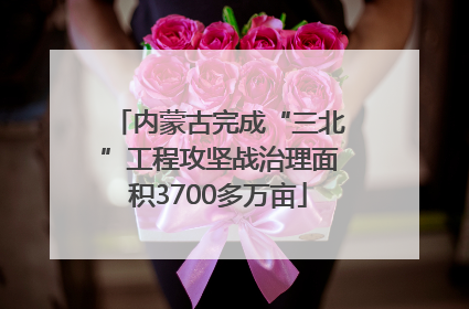 内蒙古完成“三北”工程攻坚战治理面积3700多万亩