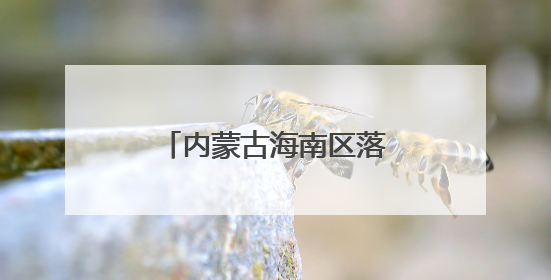 内蒙古海南区落实“六个行动”激发市场活力