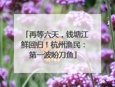 再等六天，钱塘江鲜回归！杭州渔民：第一波盼刀鱼