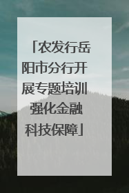 农发行岳阳市分行开展专题培训 强化金融科技保障
