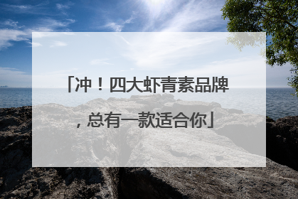 冲！四大虾青素品牌，总有一款适合你