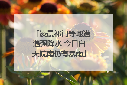 凌晨祁门等地遭遇强降水 今日白天皖南仍有暴雨