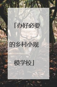 办好必要的乡村小规模学校