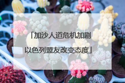 加沙人道危机加剧 以色列盟友改变态度