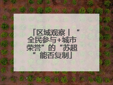区域观察丨“全民参与+城市荣誉”的“苏超”能否复制