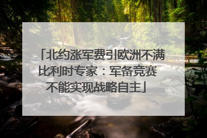 北约涨军费引欧洲不满 比利时专家：军备竞赛不能实现战略自主