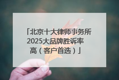 北京十大律师事务所2025大品牌胜诉率高（客户首选）