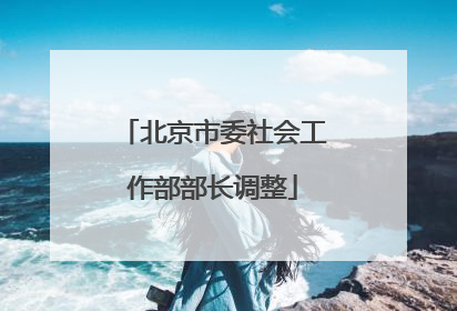 北京市委社会工作部部长调整