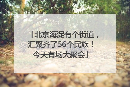 北京海淀有个街道，汇聚齐了56个民族！今天有场大聚会