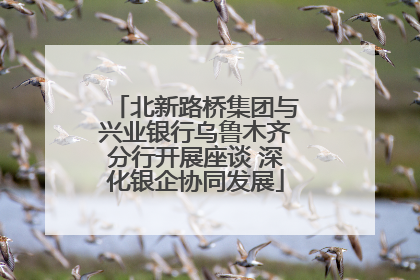 北新路桥集团与兴业银行乌鲁木齐分行开展座谈 深化银企协同发展