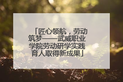 匠心领航，劳动筑梦——武威职业学院劳动研学实践育人取得新成果