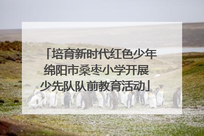 培育新时代红色少年 绵阳市桑枣小学开展少先队队前教育活动