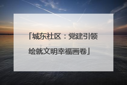 城东社区：党建引领绘就文明幸福画卷