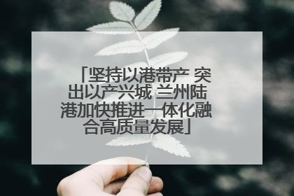 坚持以港带产 突出以产兴城 兰州陆港加快推进一体化融合高质量发展