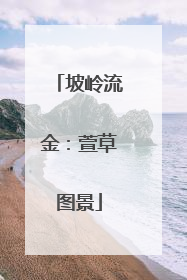 坡岭流金：萱草图景