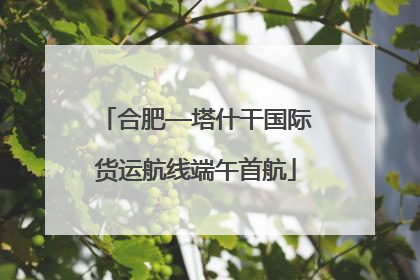 合肥—塔什干国际货运航线端午首航