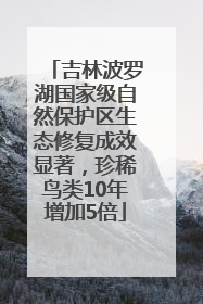 吉林波罗湖国家级自然保护区生态修复成效显著，珍稀鸟类10年增加5倍