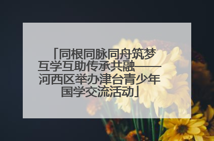 同根同脉同舟筑梦 互学互助传承共融——河西区举办津台青少年国学交流活动