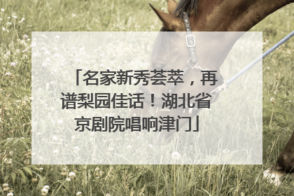 名家新秀荟萃，再谱梨园佳话！湖北省京剧院唱响津门